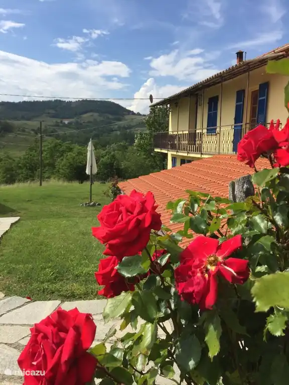 Pian del Gatto. Den ganzen Sommer hindurch zeigen die Rosenbüsche rund um das Haus ihre schönste Seite.