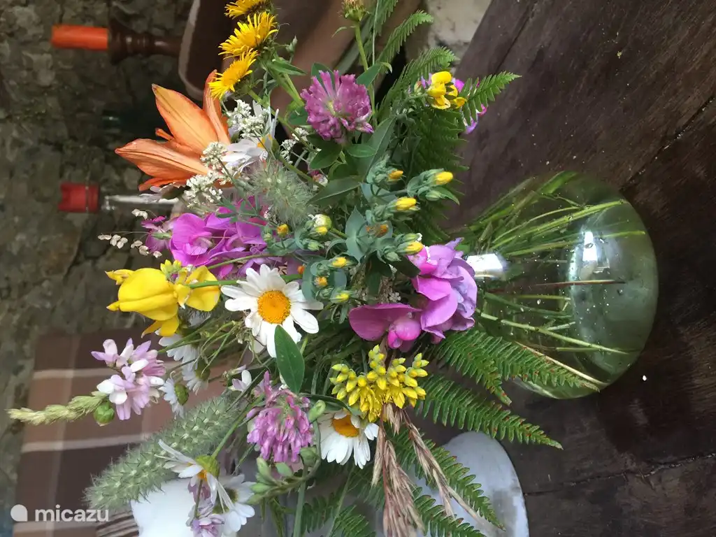 Feld Bouquet Weide für das Haus.