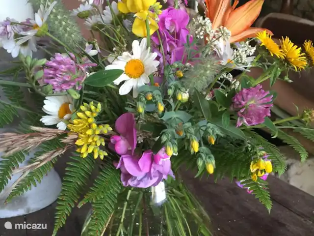 Pian del Gatto | Italie, Ligurie, Pareto - maison de vacances Bouquet de champ auto-cueilli de la prairie devant la maison.