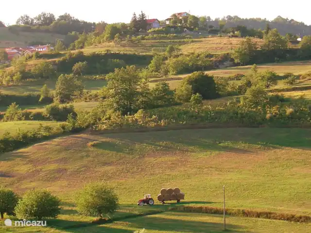 Pian del Gatto | Italie, Ligurie, Pareto - maison de vacances Vue depuis Pian del Gatto sur les prairies environnantes. Il y a toujours un agriculteur qui travaille sur sa terre.