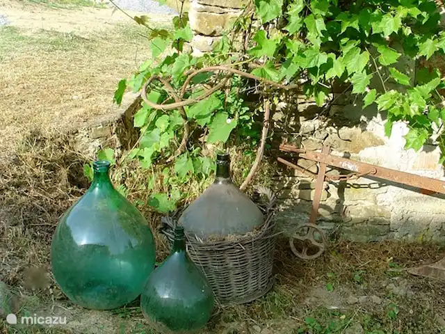 Pian del Gatto | Italie, Ligurie, Pareto - maison de vacances Pian del Gatto