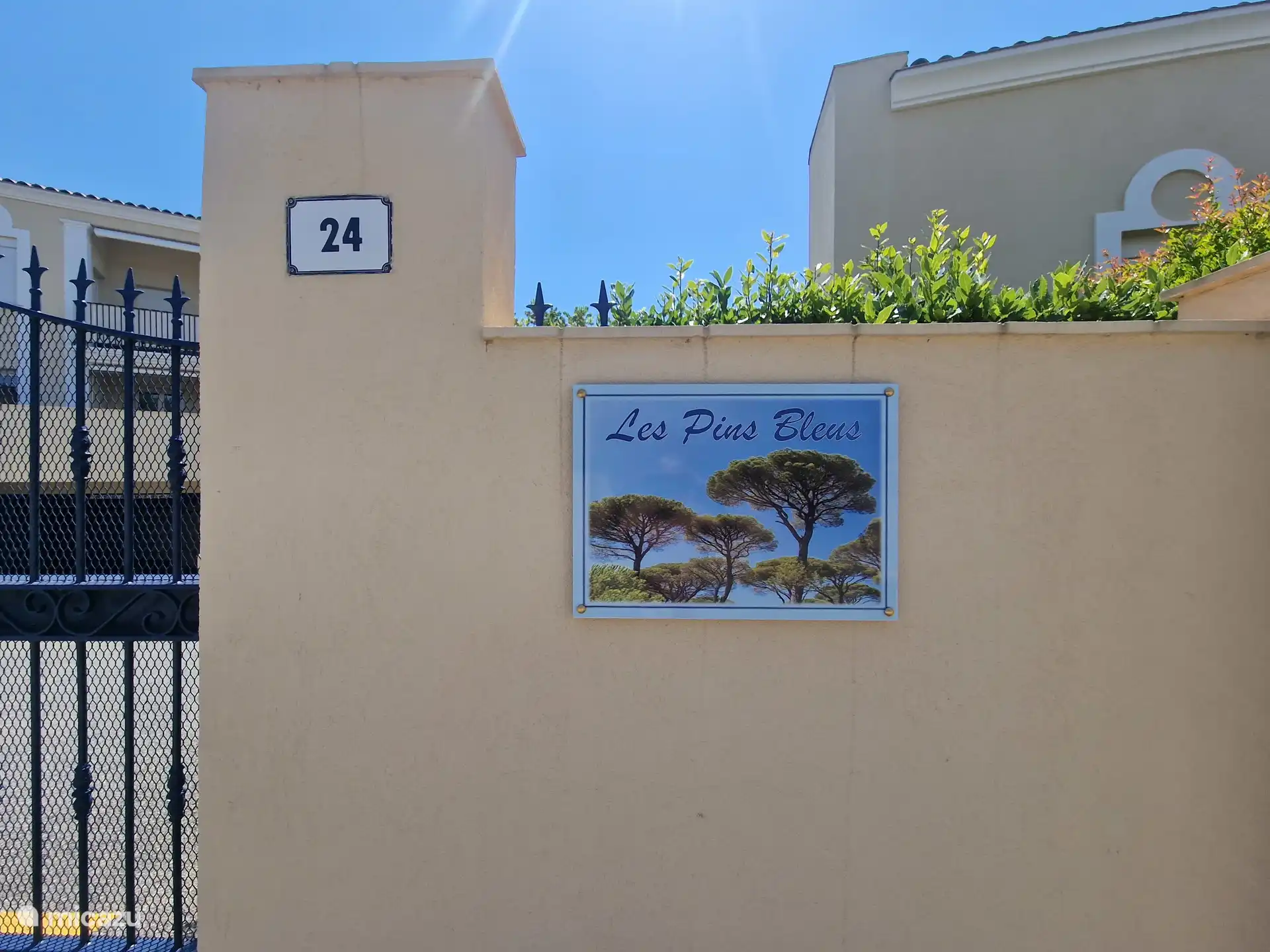 Les Pins Bleus