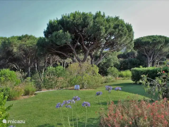 appartement huren in Frankrijk, Côte d´Azur, Sainte-Maxime – App. A8 les Pins Bleus dichtbij zee Park