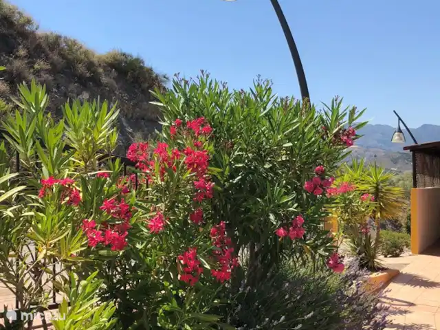 Casa El Balcon | Espagne, Costa Tropical, Almuñécar - maison de vacances Chemin vers la maison