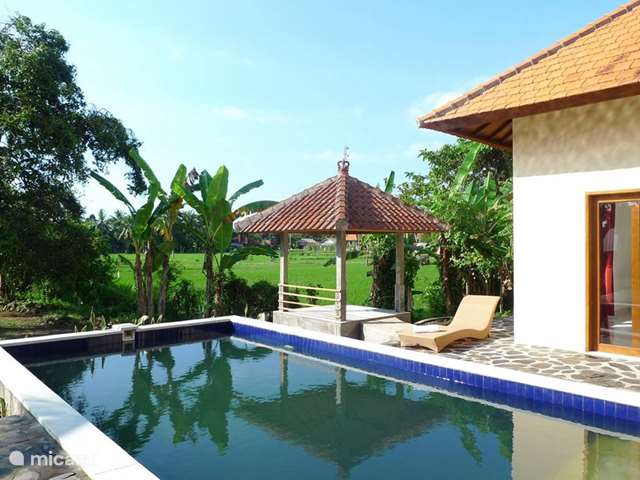 Vakantiehuis Indonesië, Bali, Kaliasem - villa Villa Jompo Lovina