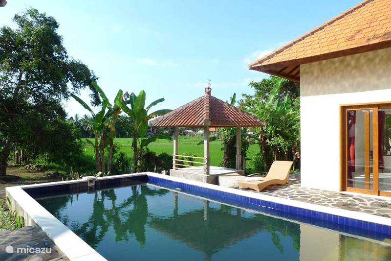 Vakantiehuis Indonesië, Bali, Lovina Villa Villa Jompo Lovina