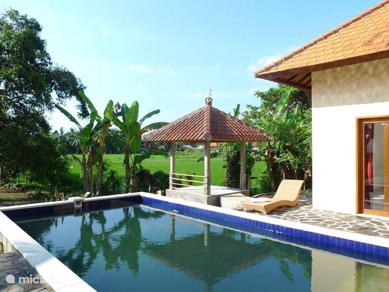 Vakantiehuis Indonesië, Bali, Lovina Villa Villa Jompo Lovina