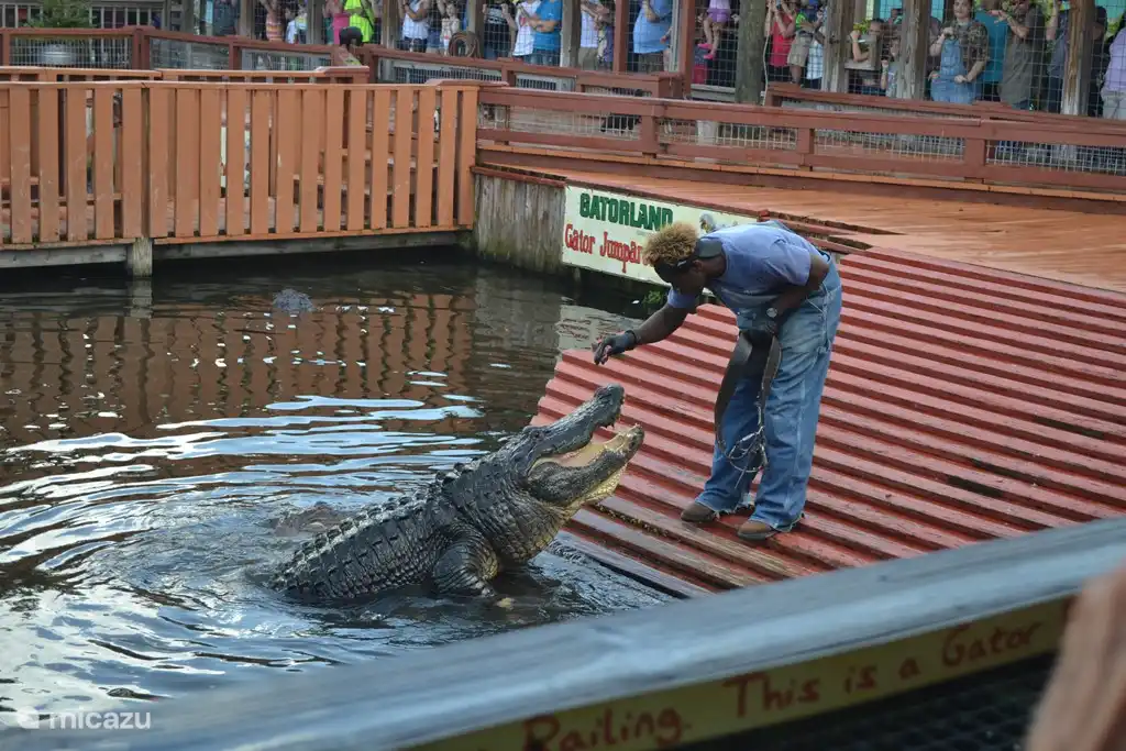 Gatorland is also a great place for a fun day