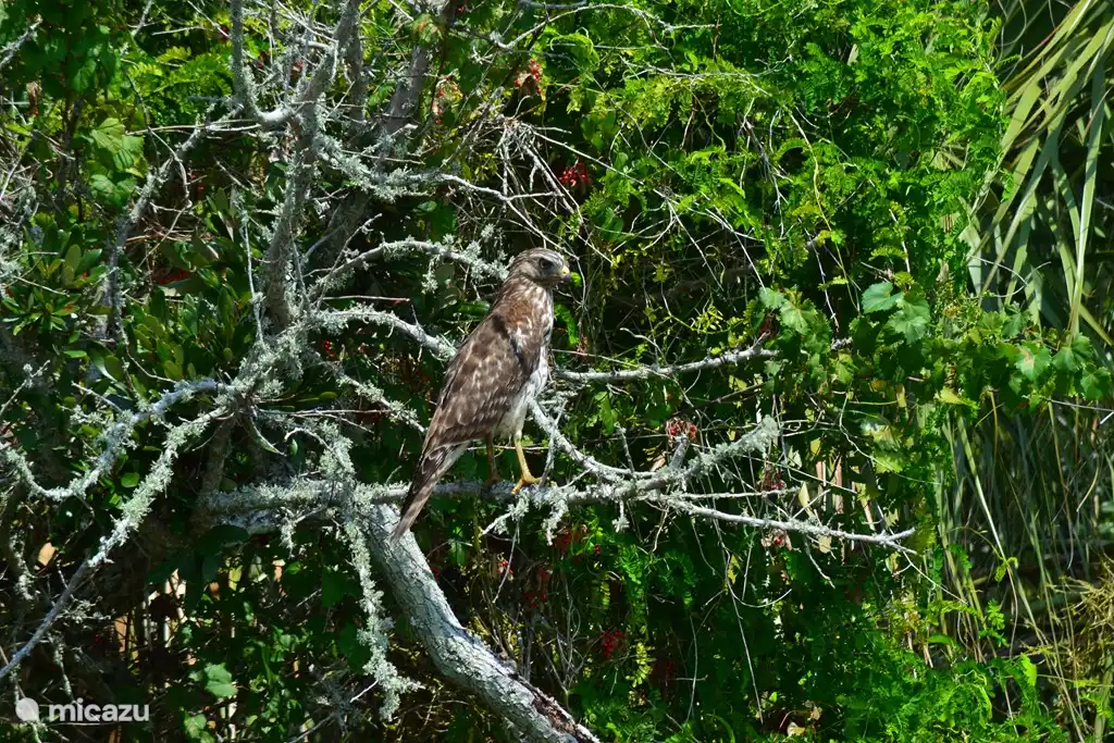 Rather free nature, there are plenty of National Parks nearby