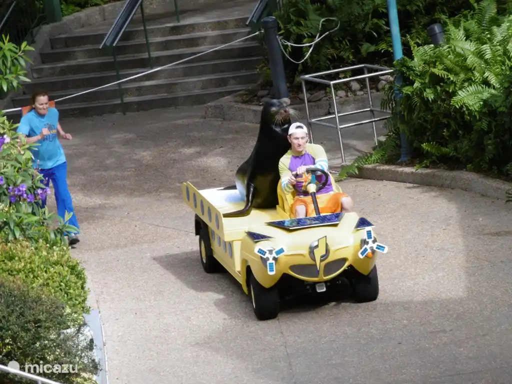 Seaworld, well worth a visit, about 20 minutes from our home