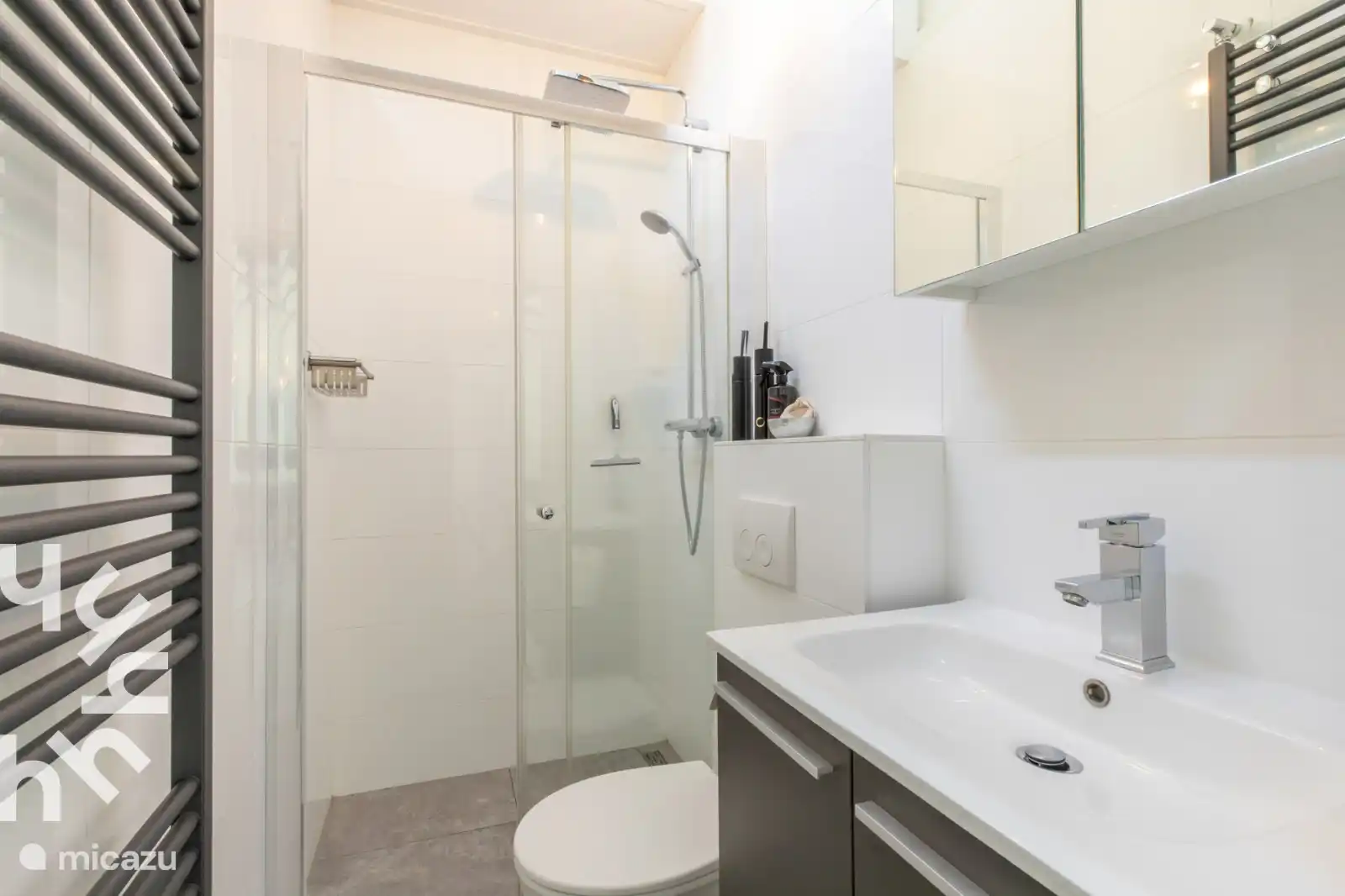 regendouche, wastafel meubel en wc 