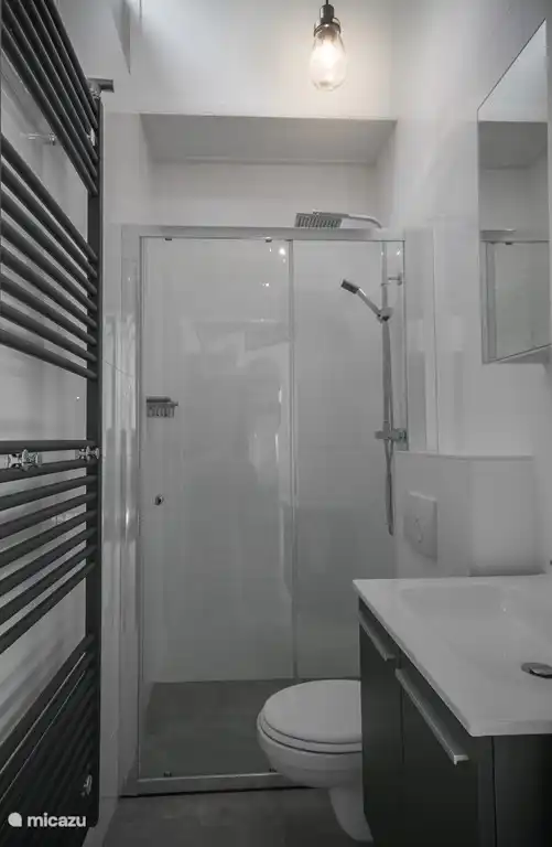 luxury modest bathroom ps washing machine in hall.