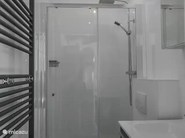 Location de Vacances Pays-Bas, Hollande méridionale, Ouddorp, maison de vacances - Futur 10 salle de bain modeste de luxe ps machine à laver dans le hall.