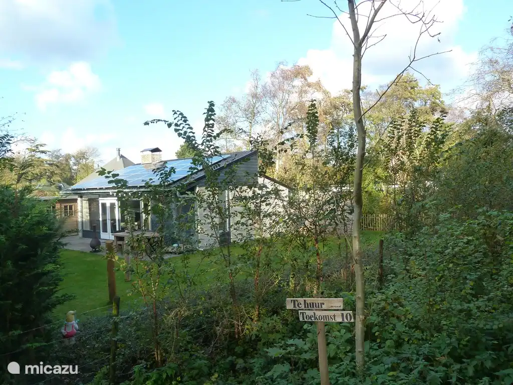 a lot of green in the vicinity of the house