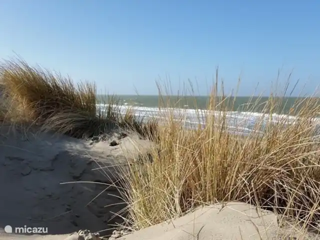 Location de Vacances Pays-Bas, Hollande méridionale, Ouddorp, maison de vacances - Futur 10 plage Ouddorp aan Zee