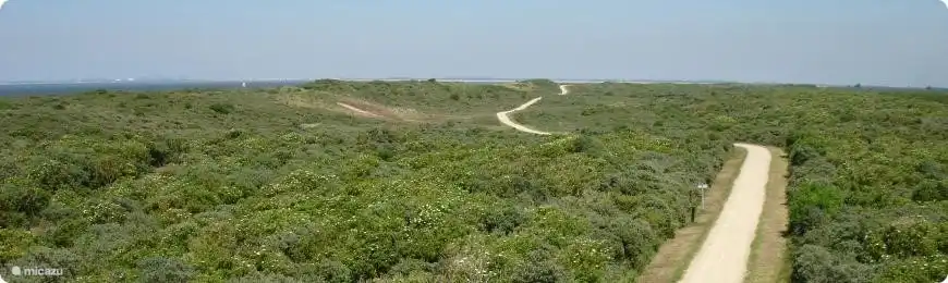 The dune ouddorp