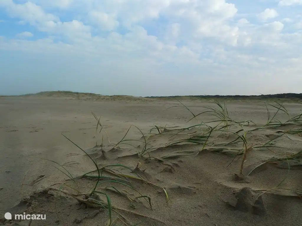 wide beach at Ouddorp