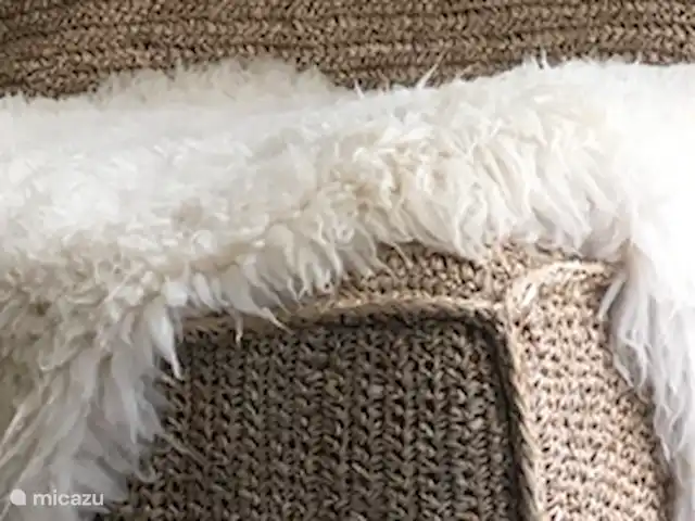 Location de Vacances Pays-Bas, Hollande méridionale, Ouddorp, maison de vacances - Futur 10 Magnifique chaise longue