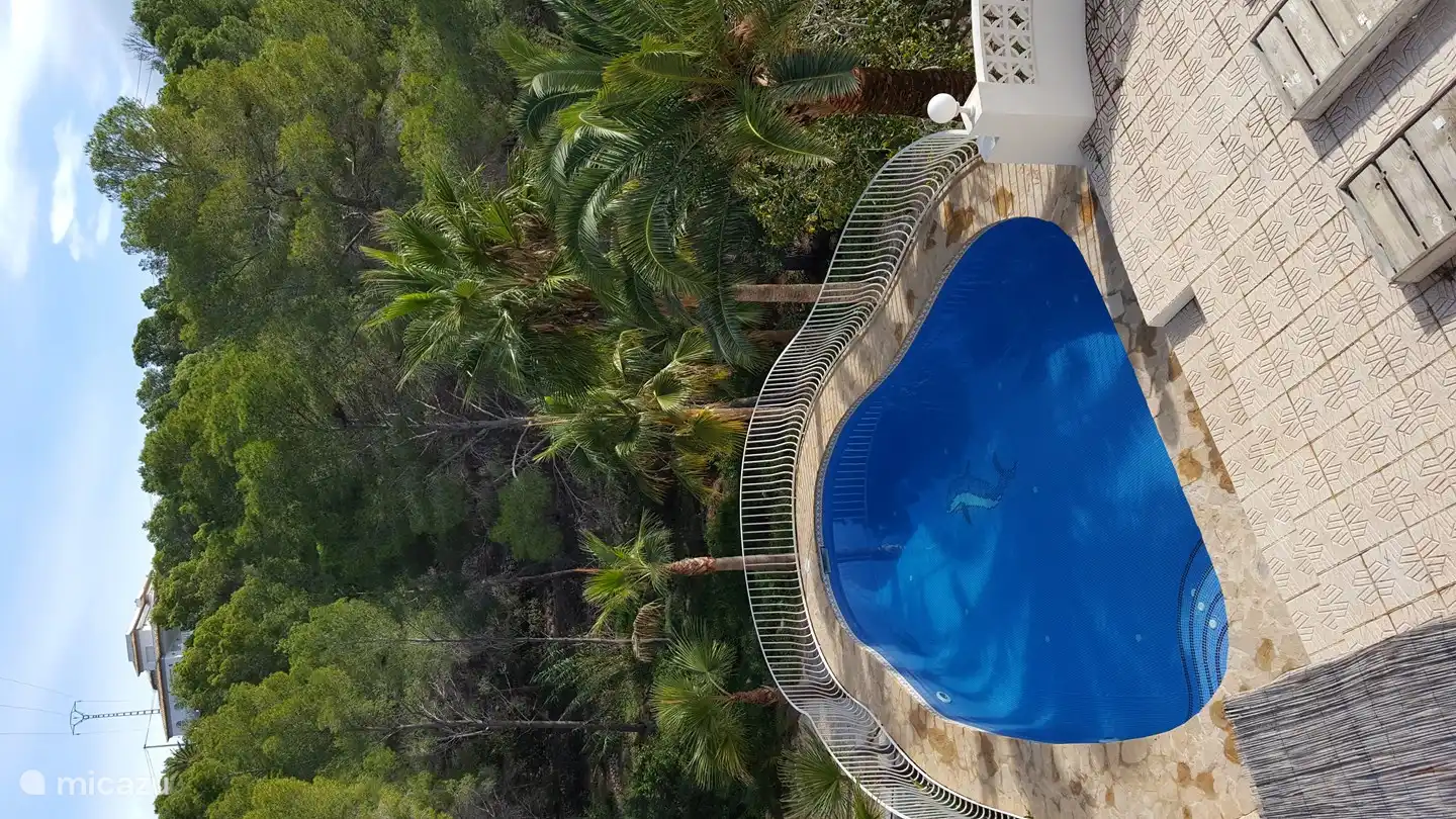 Schwimmbad mit dem Delphin.