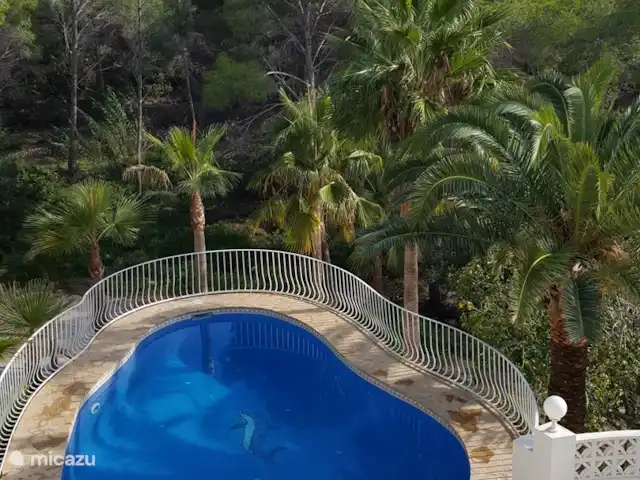 Villa 2-10 p met zeezicht en zwembad huren in Spanje, Costa Blanca, Altea - villa Zwembad met de dolfijn.