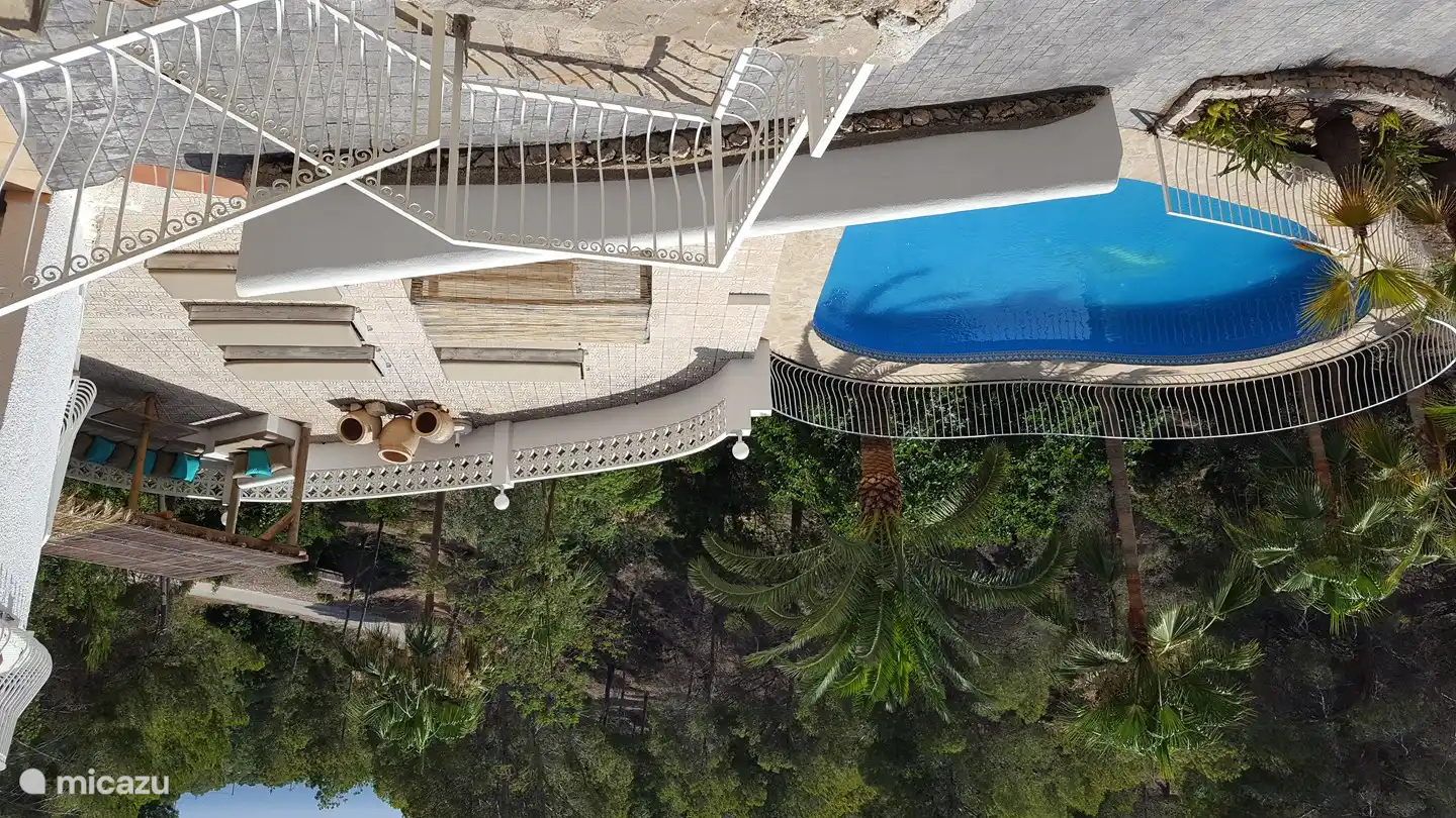 Der Pool ist von viel Grün umgeben.