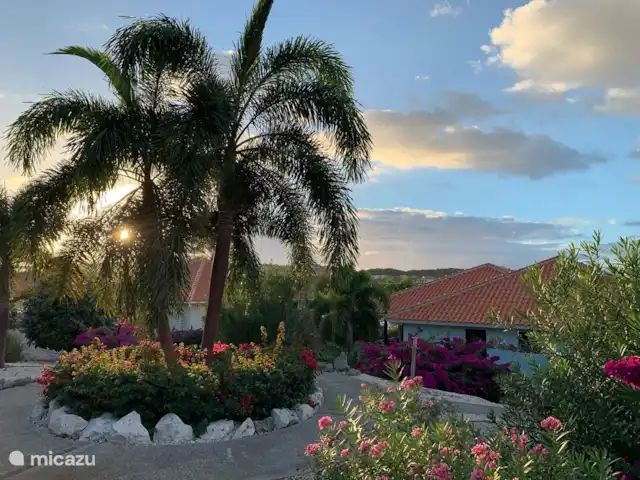 BlueBay Village - Villa 44 Djucu huren in Curaçao, Curacao-Midden, Blue Bay - villa Blue Bay Village park