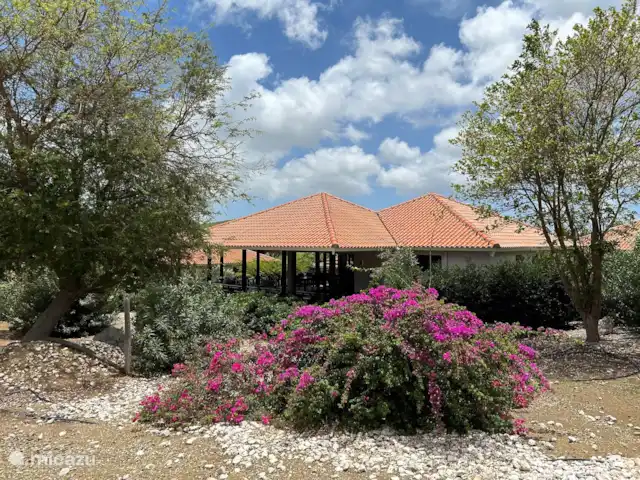BlueBay Village - Villa 44 Djucu huren in Curaçao, Curacao-Midden, Blue Bay - villa