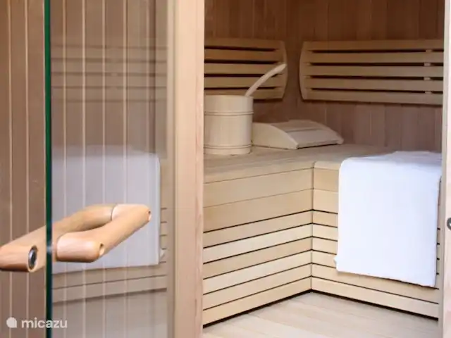 Tauern Apartment Schrempf Anna huren in Oostenrijk, Salzburgerland, Niedernsill - appartement Sauna