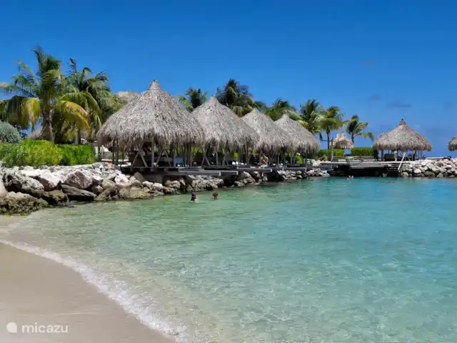 Villa 16 - Près de la piscine et de la plage | Curaçao, Curaçao-Centre, Blue Bay - villa Restaurant Brassboer