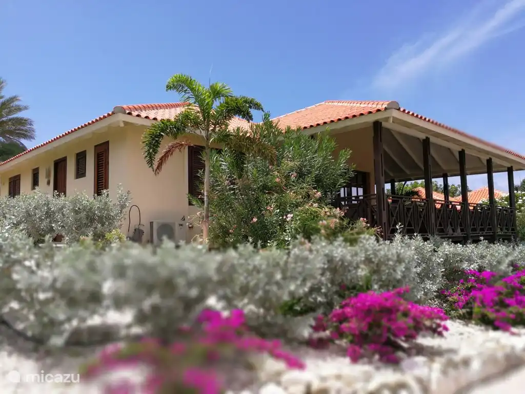 Get Wallpaper Villa 16 Vlakbij Zwembad Strand In Blue Bay Curacao Midden For Free
