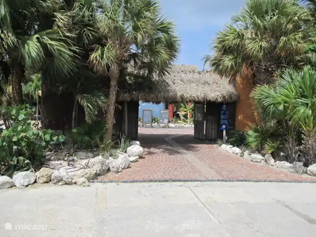 Villa 16 - Près de la piscine et de la plage | Curaçao, Curaçao-Centre, Blue Bay - villa Plage d'entrée