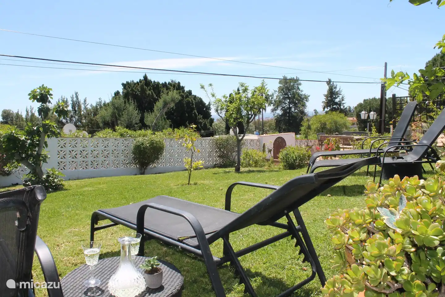 Großer Rasengarten auf der Terrasse mit mehreren Sonnenliegen