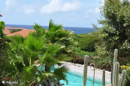 Vakantiehuis Curaçao, Banda Ariba (oost), Jan Thiel appartement Hilltop - Hibiscus, Boca Gentil Vakantiehuis Curaçao, Banda Ariba (oost), Jan Thiel appartement Hilltop - Hibiscus, Boca Gentil