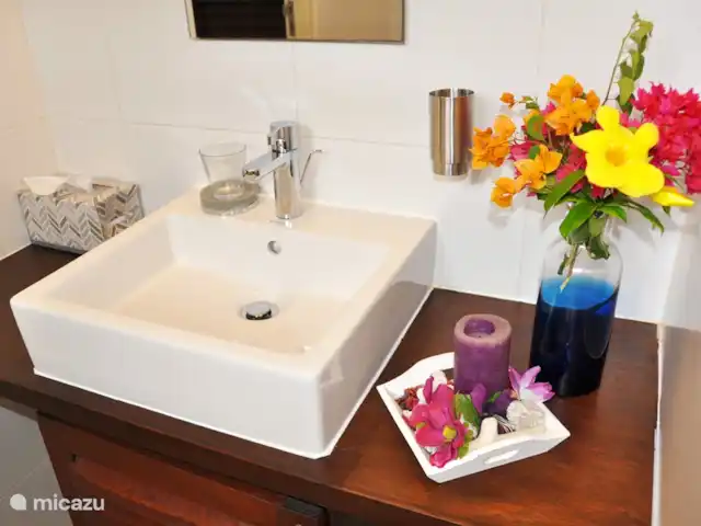 Hilltop - Hibiscus, Boca Gentil | Curaçao, Banda Ariba (est), Jan Thiel - appartement salle de bain 2, appartement au rez-de-chaussée
