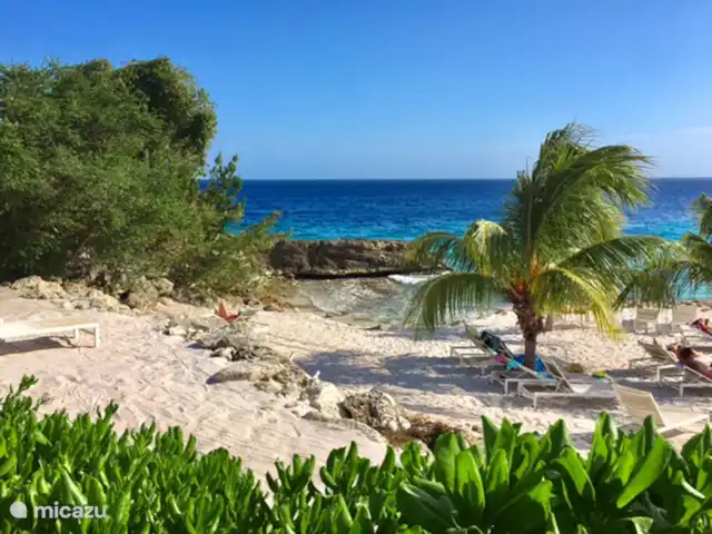 Hilltop - Hibiscus, Boca Gentil | Curaçao, Banda Ariba (est), Jan Thiel - appartement vue, appartement au rez-de-chaussée