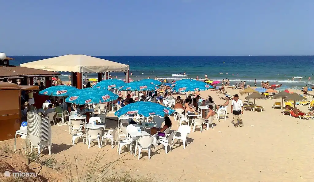 Strand Mil Palmer (1000 Palmen)