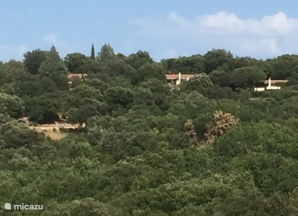 View Bungalows auf dem Hügel im Wald gebaut.