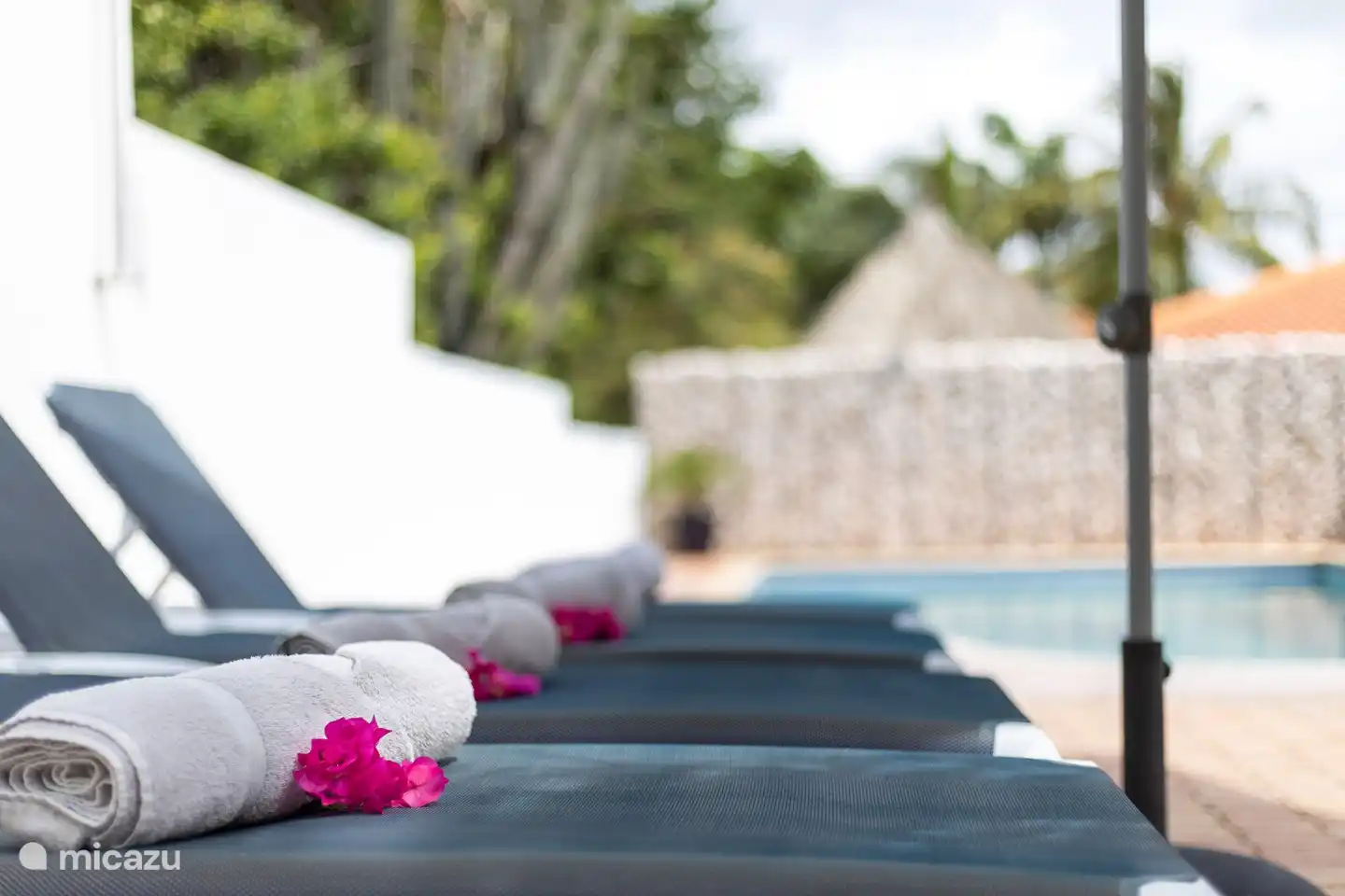 Villa Drumi Dushi | Curaçao, Banda Ariba (est), Jan Thiel - Villa