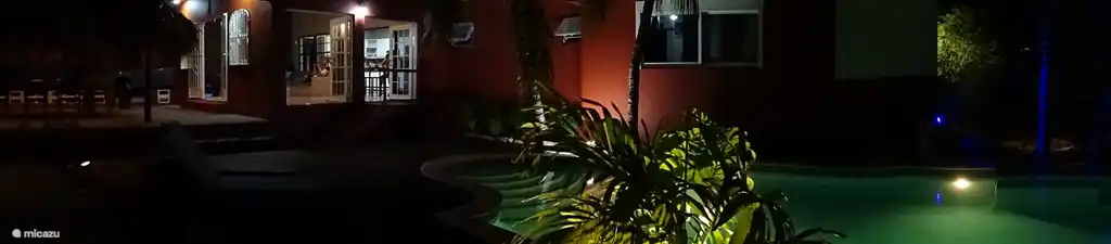 Acogedora iluminación nocturna en el jardín tropical