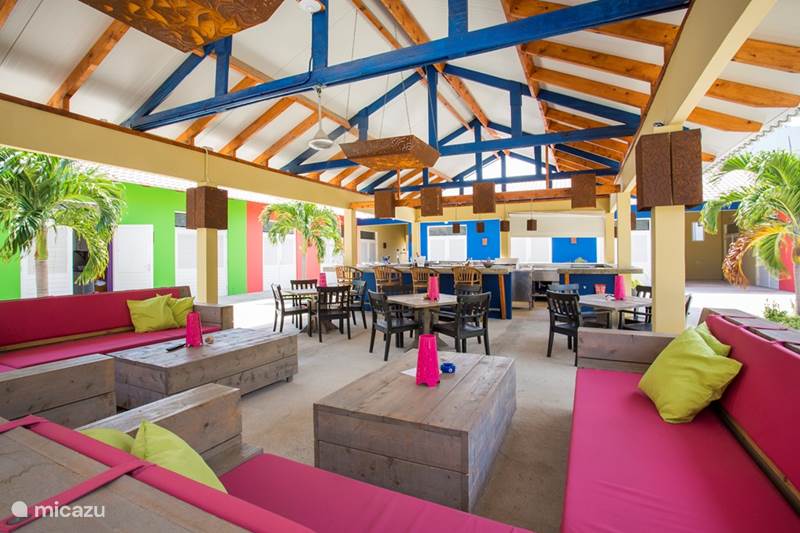 Vakantiehuis Curaçao, Curacao-Midden, Willemstad Studio Standaard Studio 1 pers. 