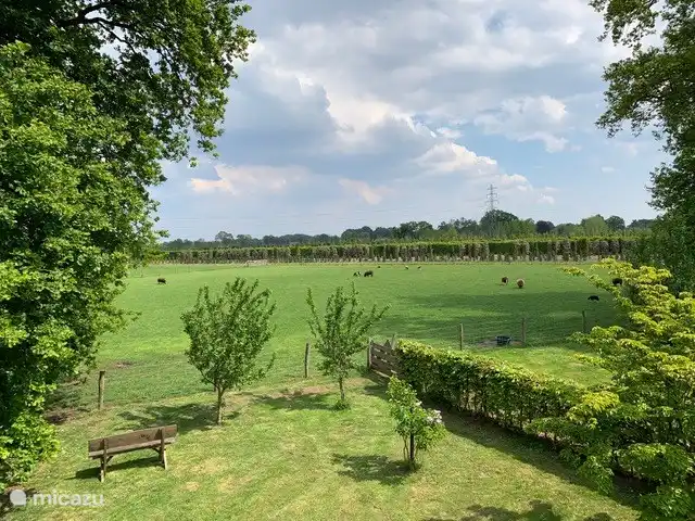 View from 't Bakhuys