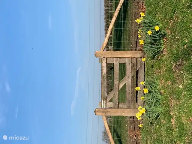 Rural view at 't Bakhuys De Grote Heg