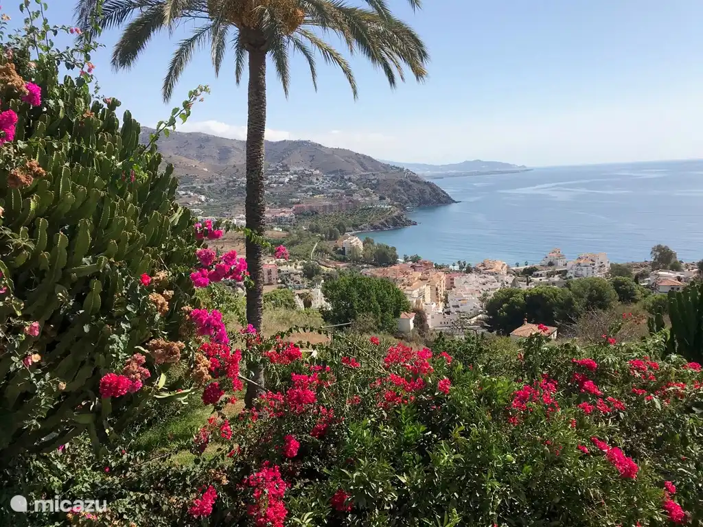 Meerblick von Fuentes