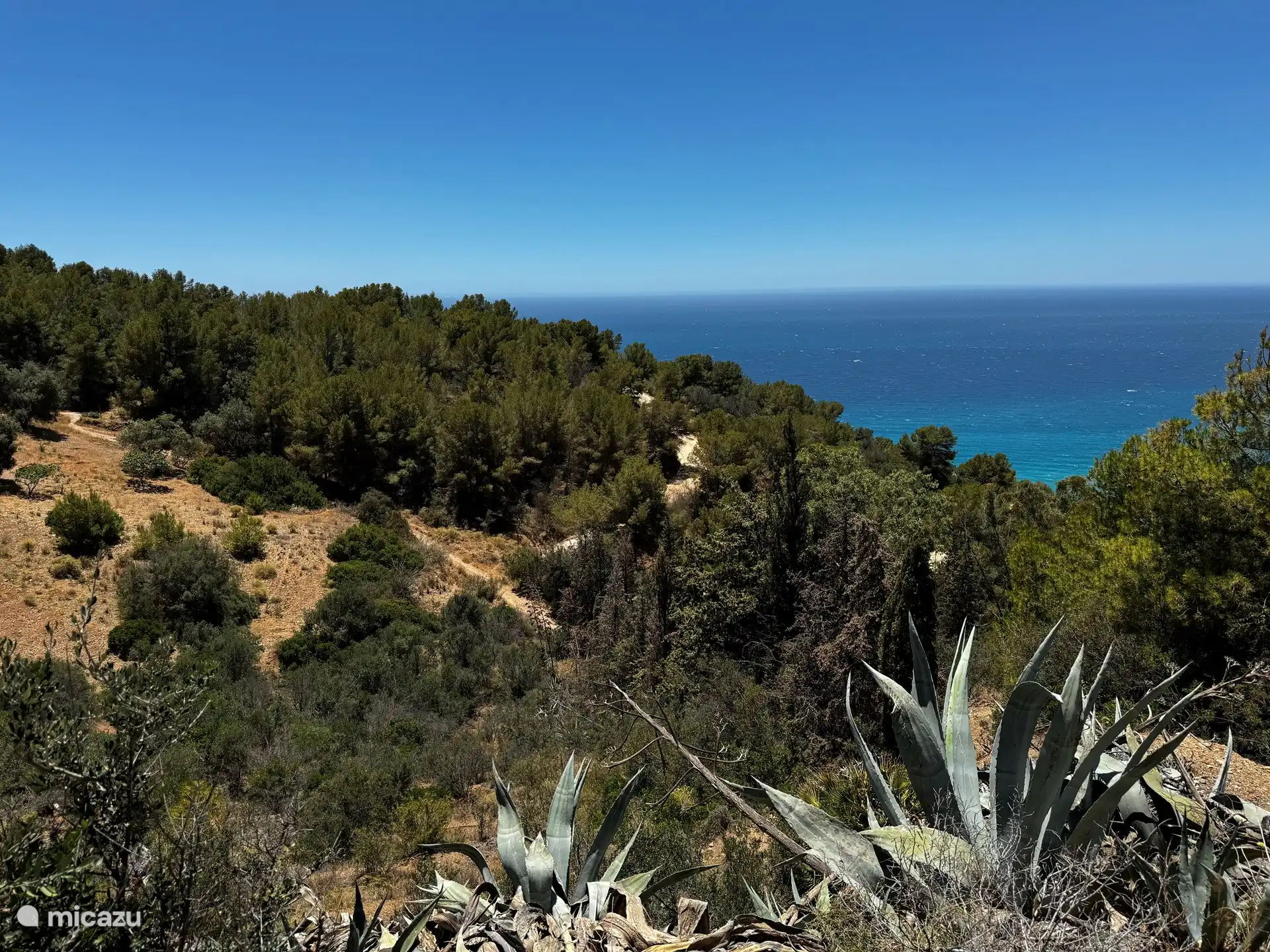 Spaziergang durch die Natur in der Nähe von Casa Limon