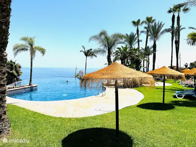 Location de Vacances Espagne, Costa Tropical, Almuñécar, maison de vacances - Maison atmosphérique et élégante en bord de mer Transats sous les palmiers et parasols à la piscine à débordement