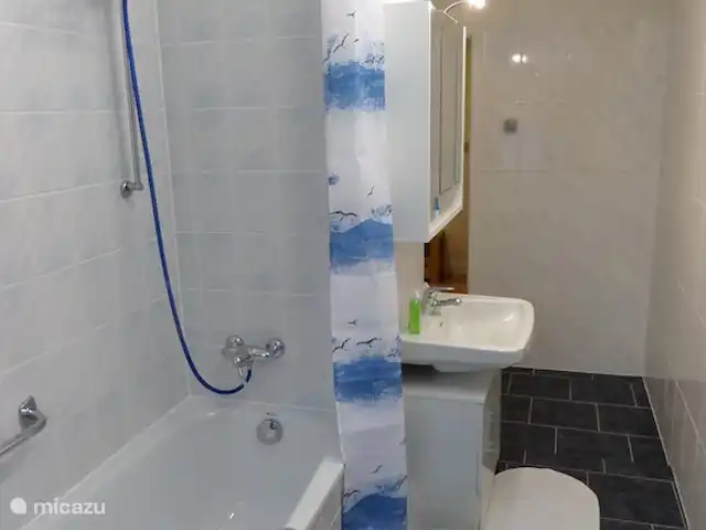Burgermeesterwoning AltesRathaus huren in Duitsland, Nedersaksen, Wildemann - appartement Badkamer Burgermeesterwoning