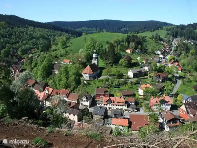 Burgermeesterwoning AltesRathaus huren in Duitsland, Nedersaksen, Wildemann - appartement Wildemann