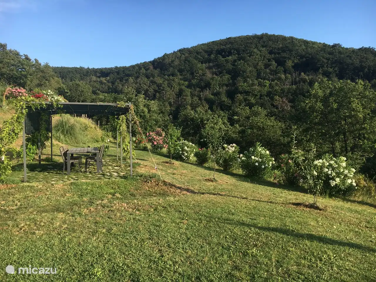 Pérgola con vista al parque