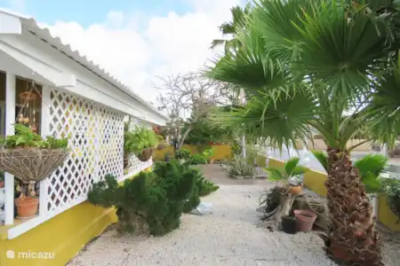 Vacation rental Bonaire, Bonaire, Sabana bungalow Sabana Residence Front yard