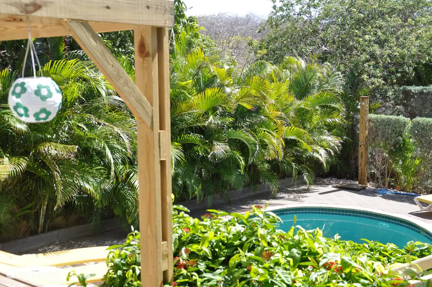 Aus dem Schlafzimmerfenster blicken Sie auf Ihren eigenen Garten mit Swimmingpool und den Mangobaum der Nachbarn im Hintergrund.